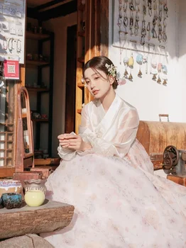 Tradicionalni Korejski Oblačila Ženske Novi Korejski Princess Palace Kostum Za Žensko Poročno Obleko Hanbok Obleko Dnevno Uspešnosti Oblačila